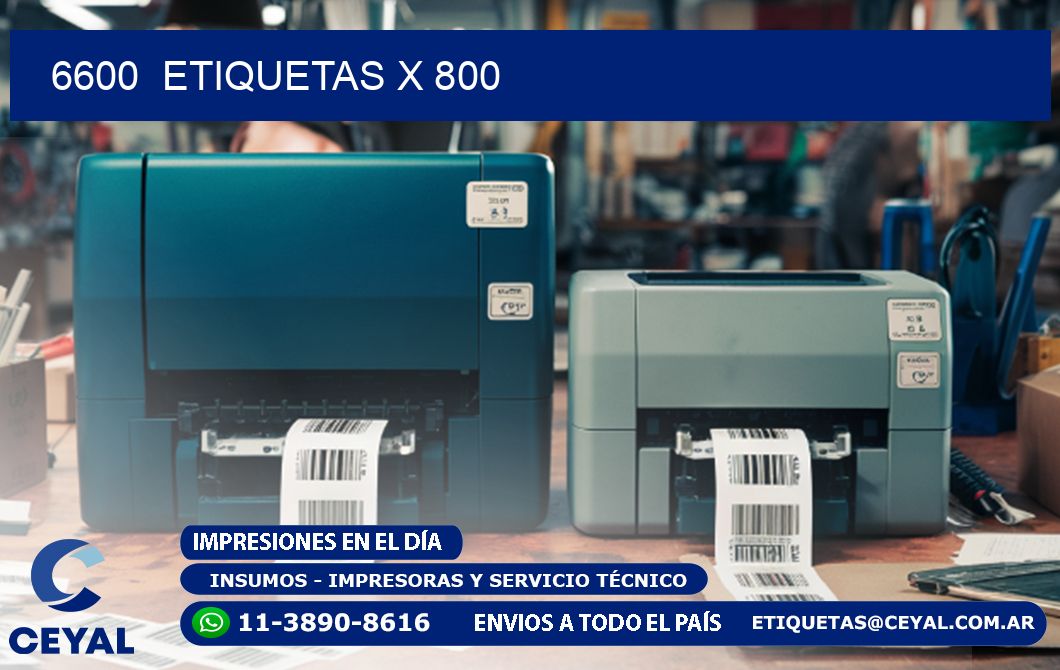 6600 ETIQUETAS X 800