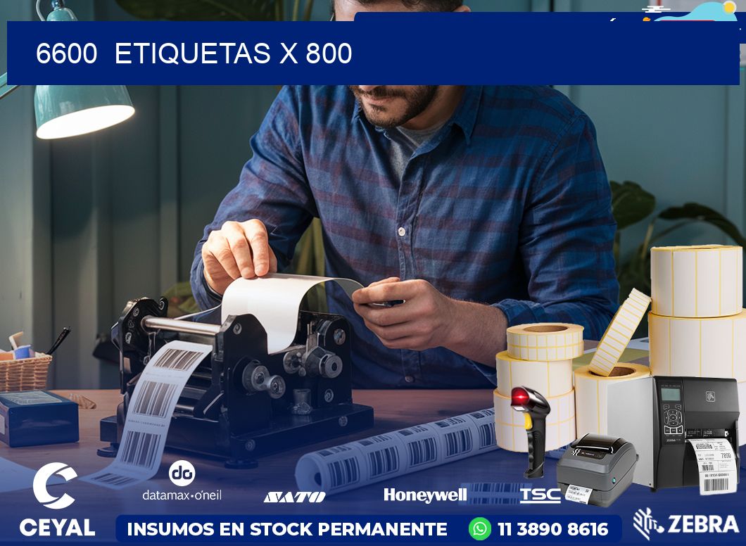 6600  ETIQUETAS X 800