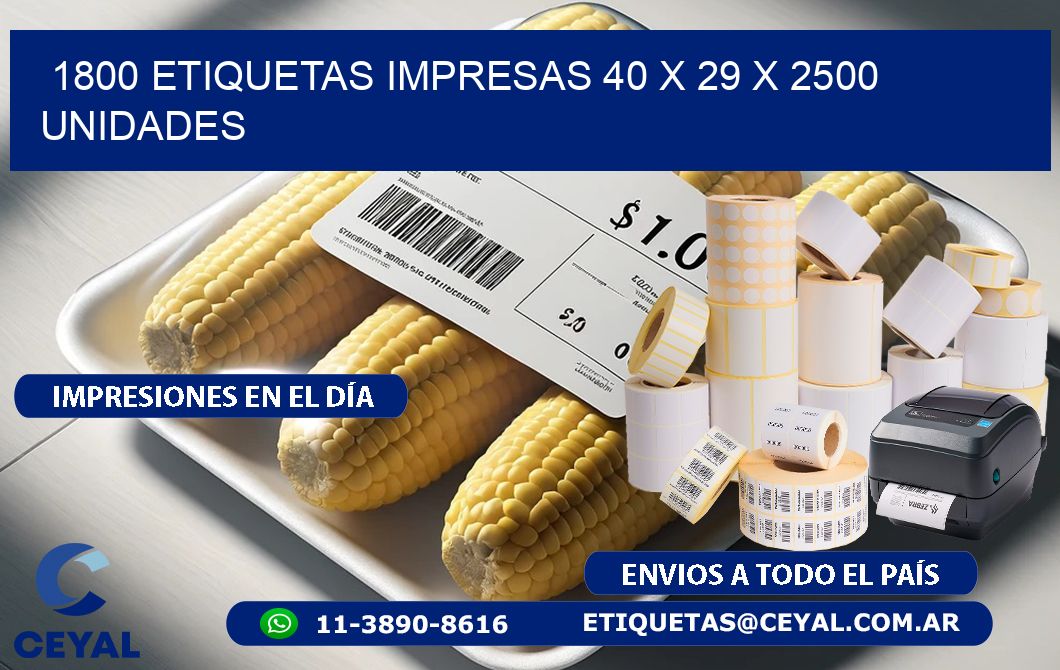 1800 ETIQUETAS IMPRESAS 40 x 29 X 2500 UNIDADES