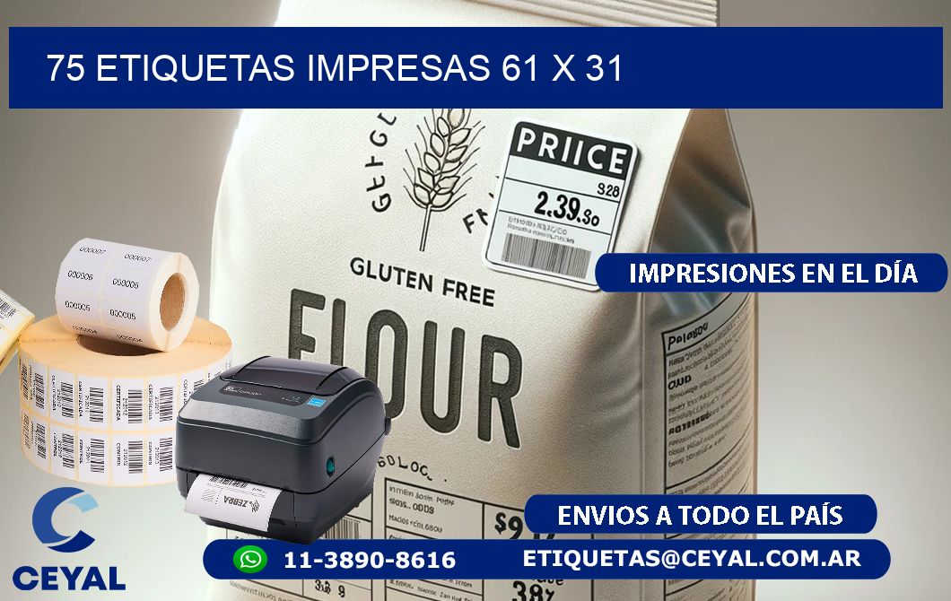 75 ETIQUETAS IMPRESAS 61 x 31