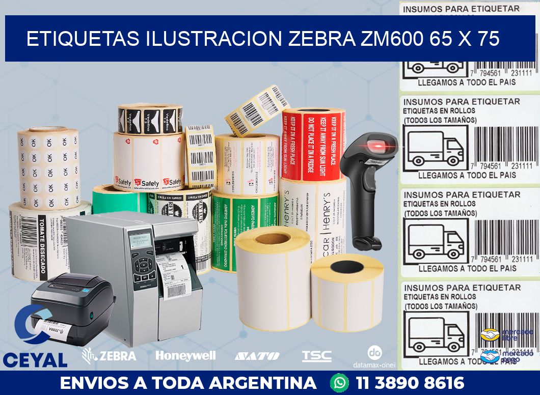 ETIQUETAS ILUSTRACION ZEBRA ZM600 65 x 75