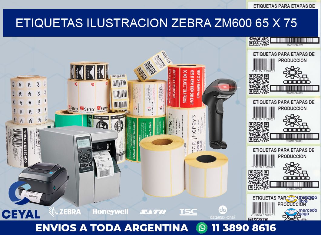 ETIQUETAS ILUSTRACION ZEBRA ZM600 65 x 75