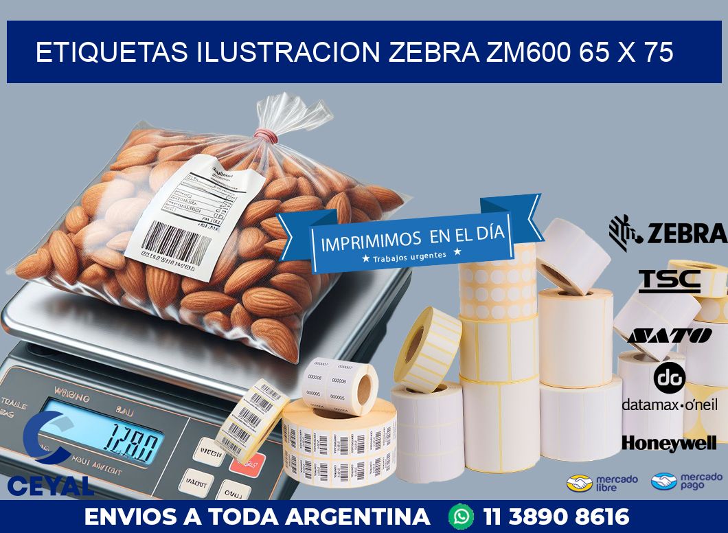 ETIQUETAS ILUSTRACION ZEBRA ZM600 65 x 75