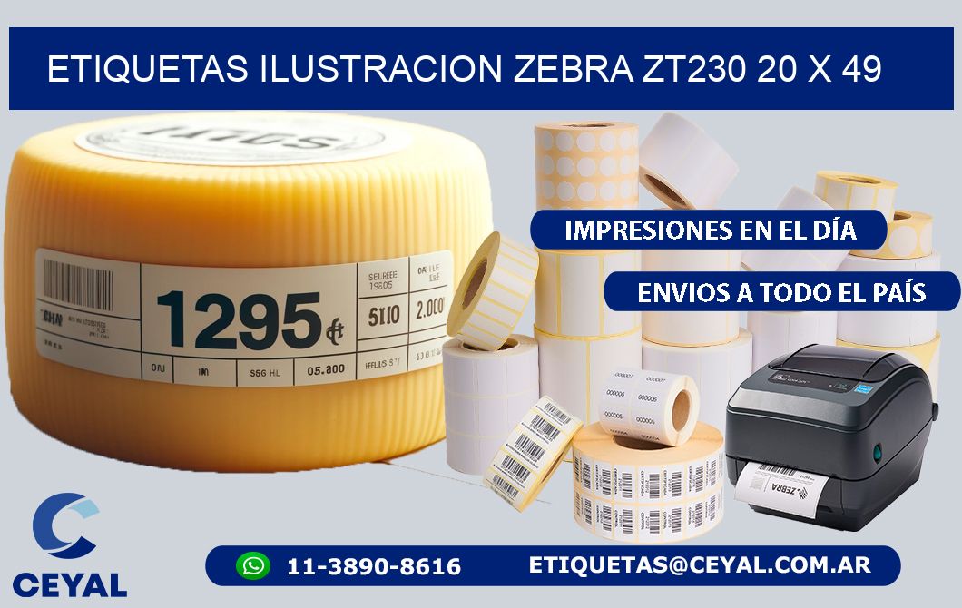 ETIQUETAS ILUSTRACION ZEBRA ZT230 20 x 49