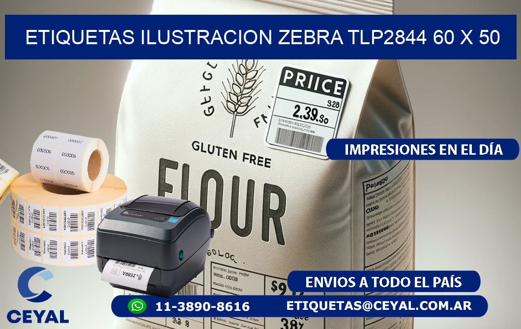 ETIQUETAS ILUSTRACION ZEBRA TLP2844 60 x 50