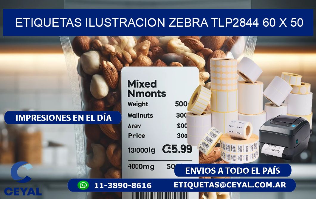 ETIQUETAS ILUSTRACION ZEBRA TLP2844 60 x 50