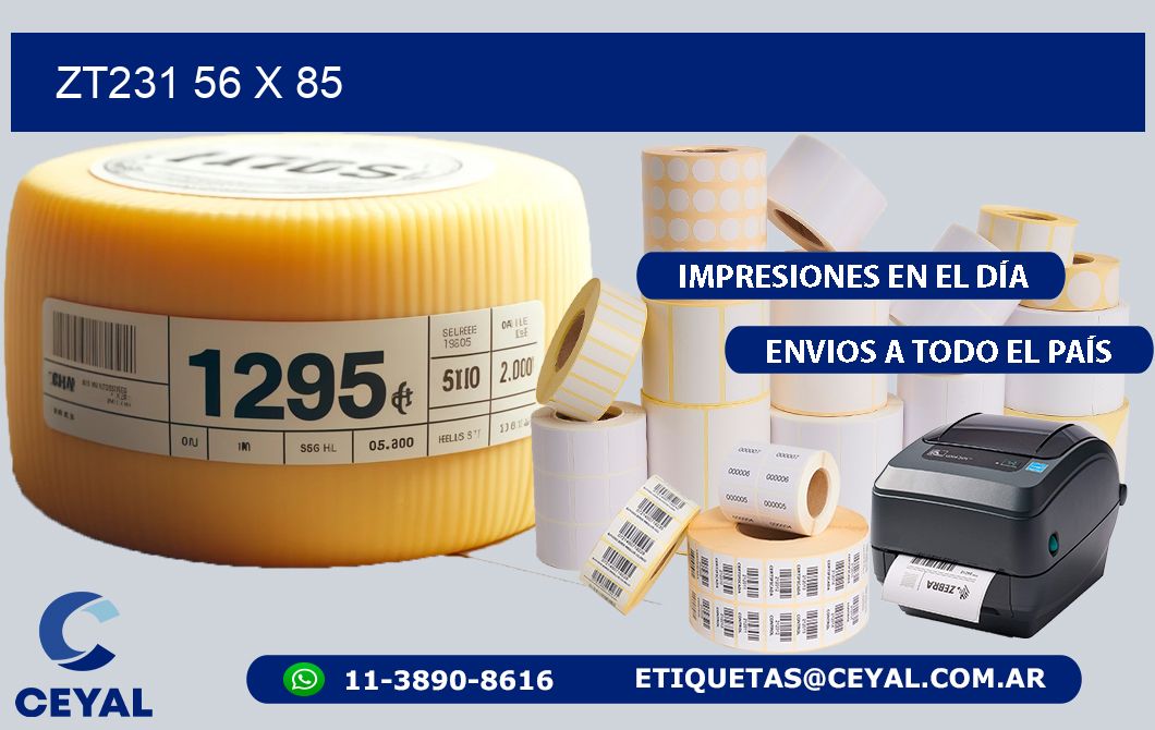 ZT231 56 x 85