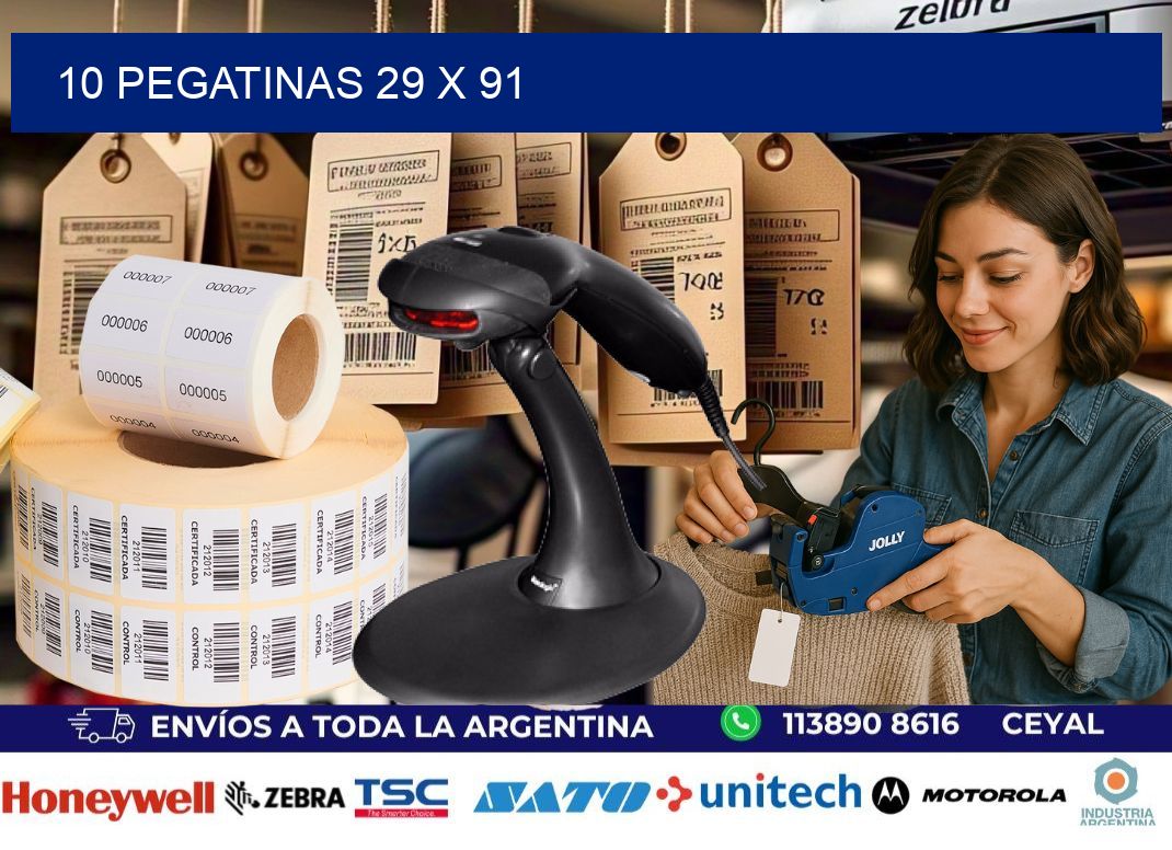 10 PEGATINAS 29 x 91