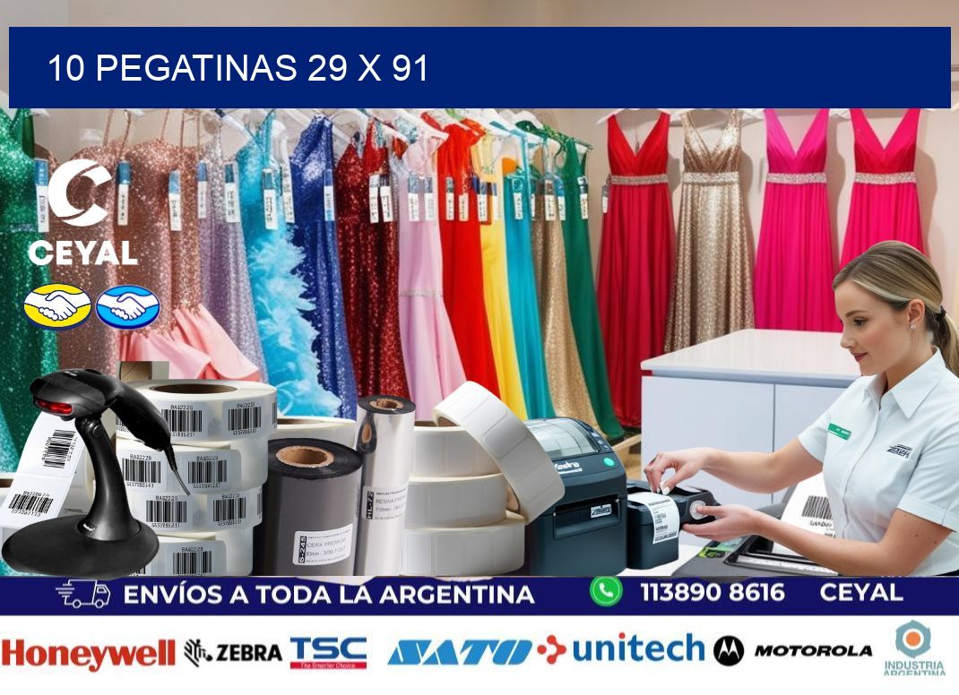 10 PEGATINAS 29 x 91