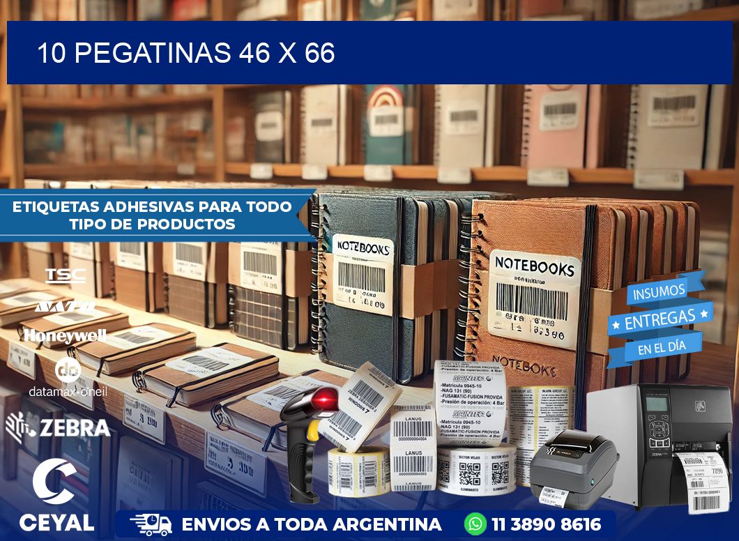 10 PEGATINAS 46 x 66