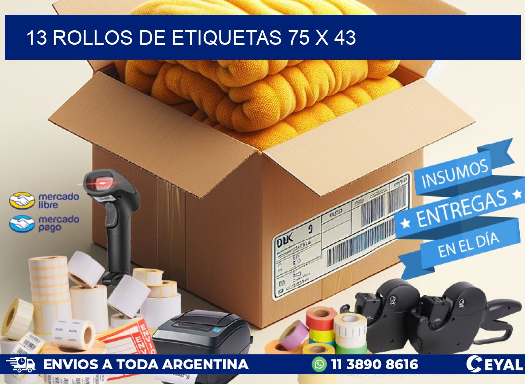 13 ROLLOS DE ETIQUETAS 75 x 43