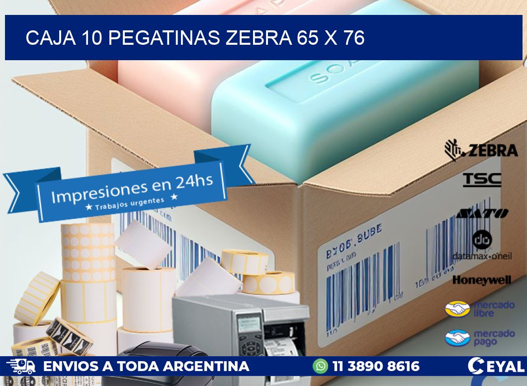 CAJA 10 PEGATINAS ZEBRA 65 x 76