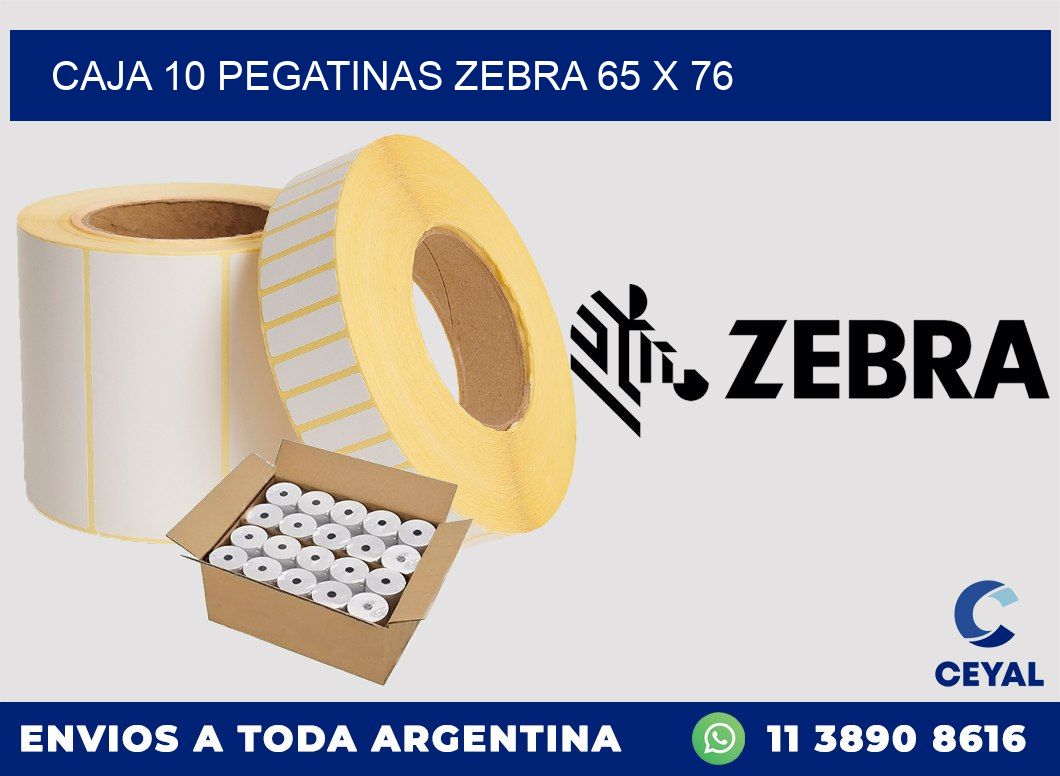 CAJA 10 PEGATINAS ZEBRA 65 x 76