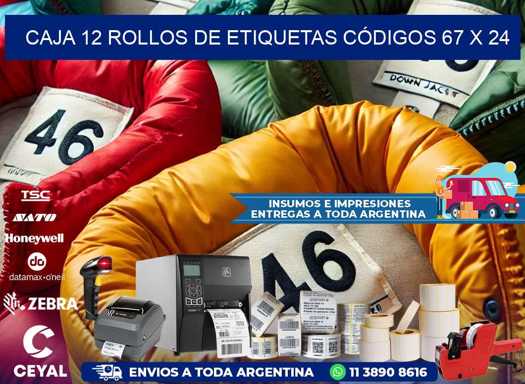 CAJA 12 ROLLOS DE ETIQUETAS CÓDIGOS 67 x 24