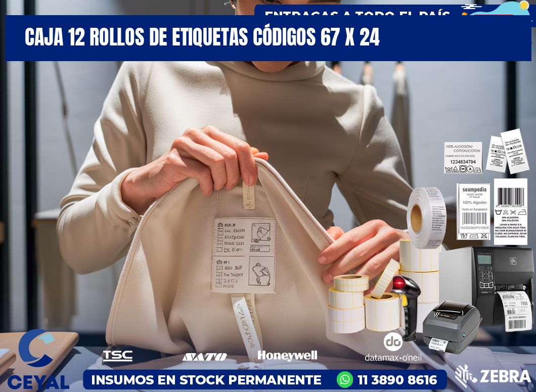 CAJA 12 ROLLOS DE ETIQUETAS CÓDIGOS 67 x 24