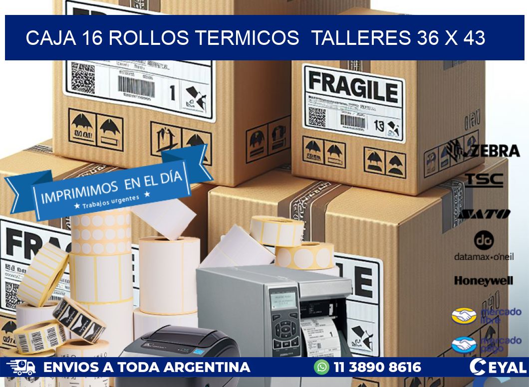 CAJA 16 ROLLOS TERMICOS  TALLERES 36 x 43