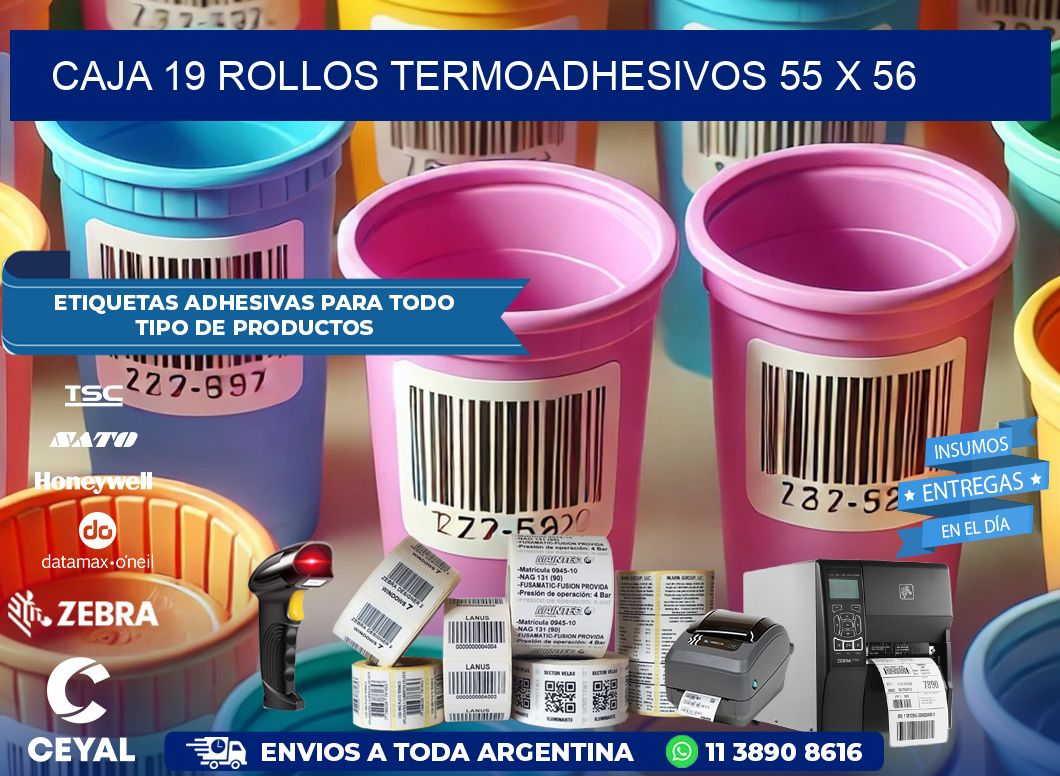 CAJA 19 ROLLOS TERMOADHESIVOS 55 x 56