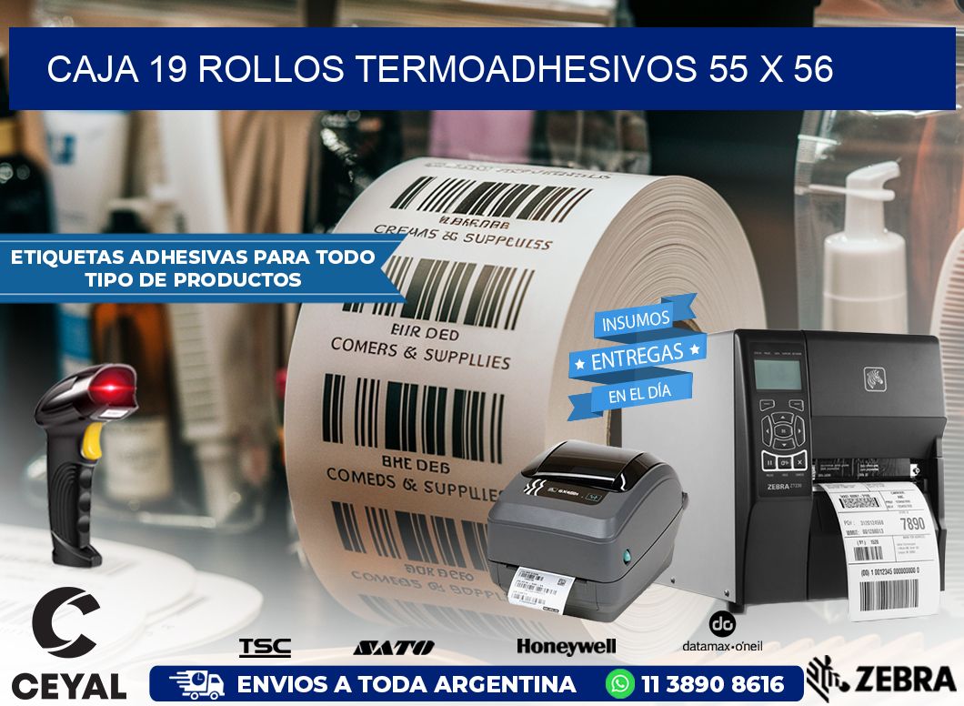 CAJA 19 ROLLOS TERMOADHESIVOS 55 x 56