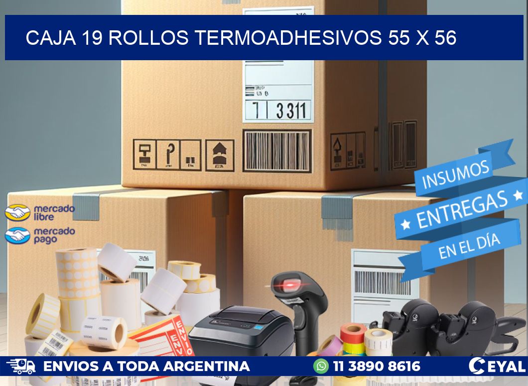 CAJA 19 ROLLOS TERMOADHESIVOS 55 x 56