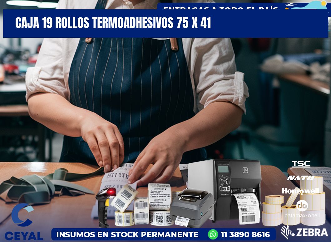 CAJA 19 ROLLOS TERMOADHESIVOS 75 x 41