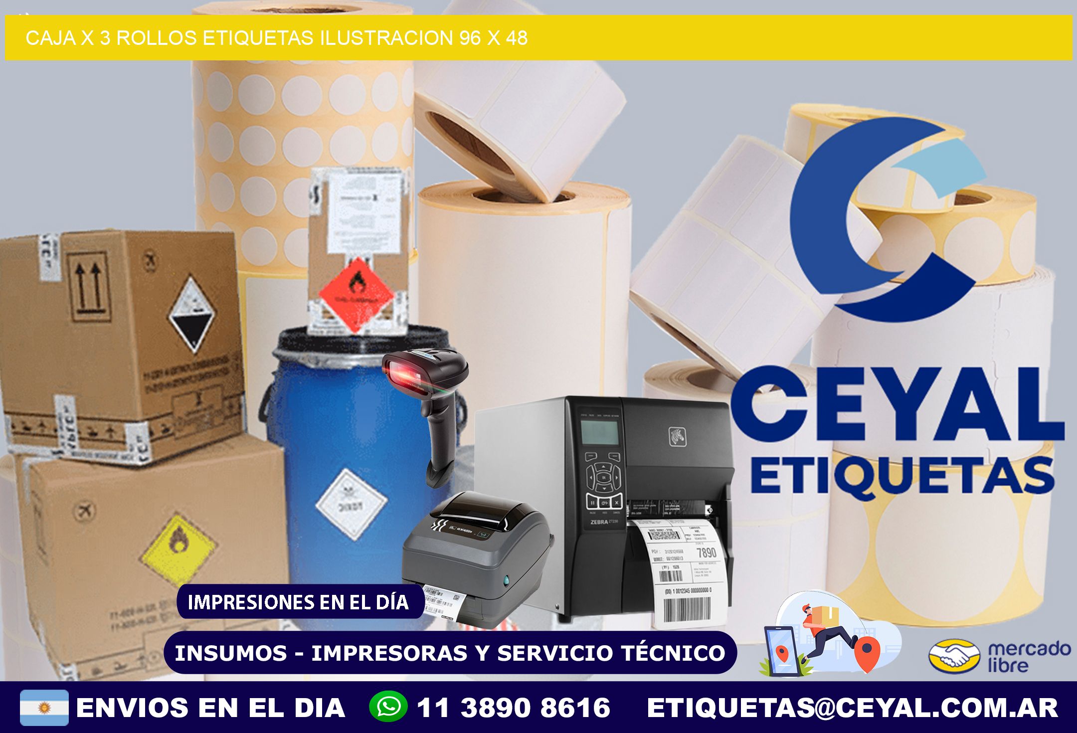 Caja X 3 Rollos Etiquetas Ilustracion 96 x 48