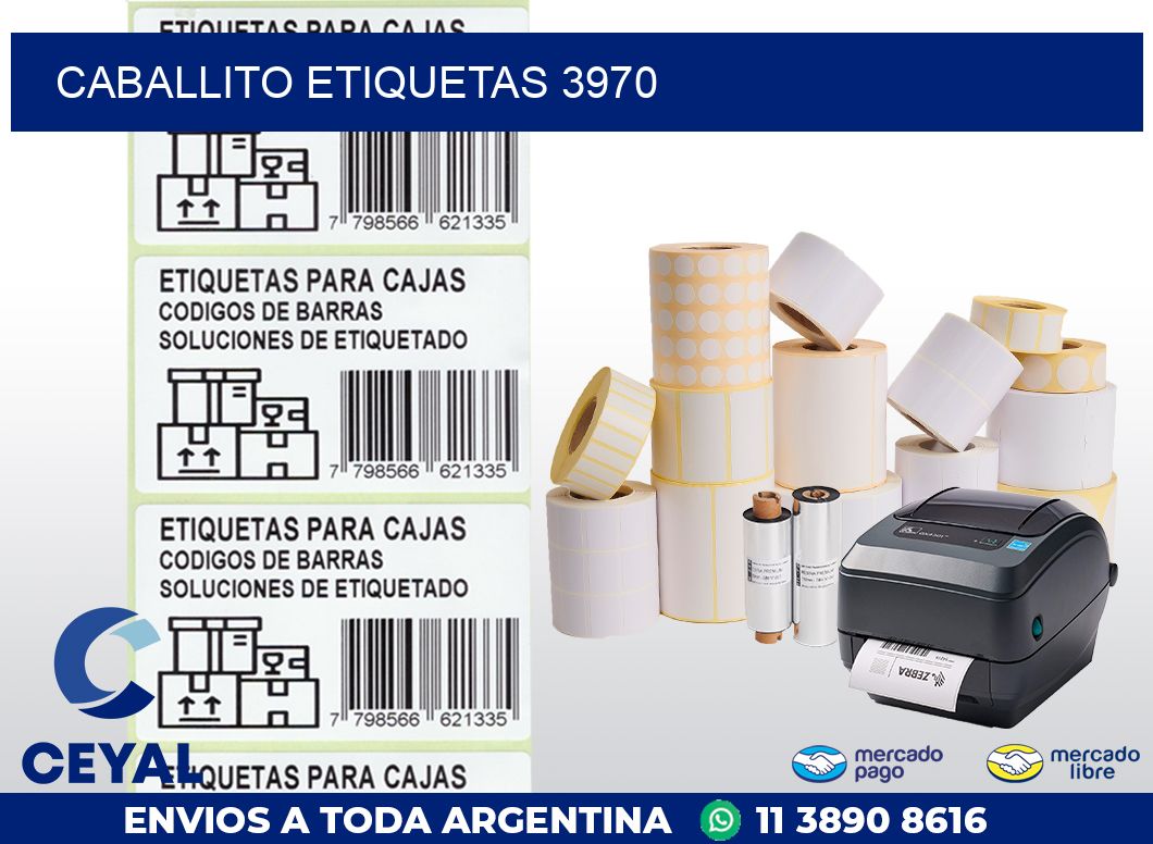 Caballito etiquetas 3970