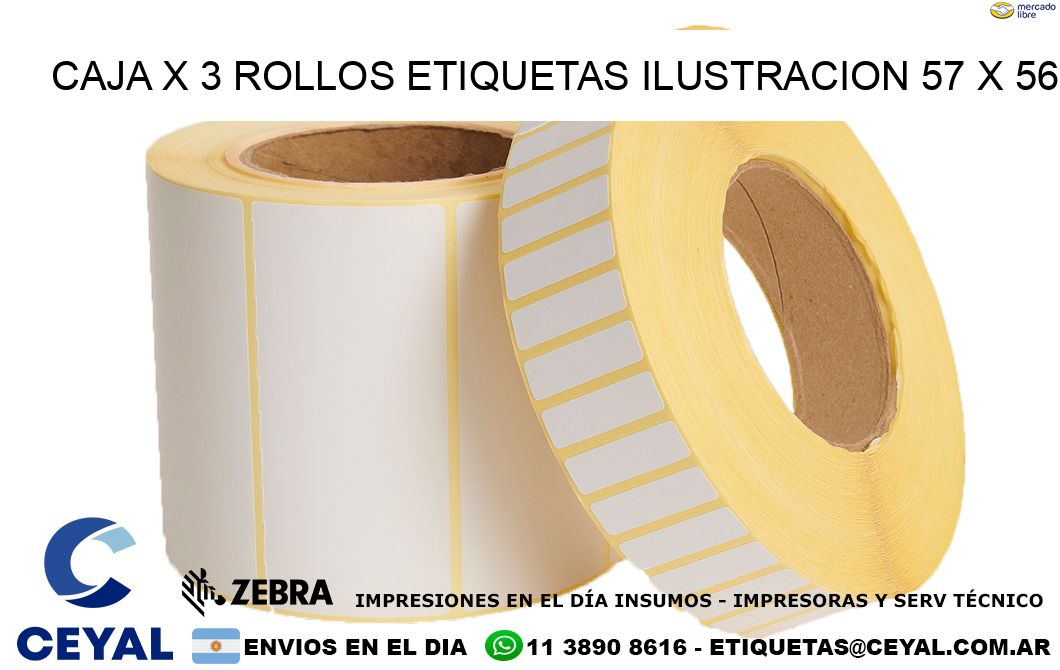 Caja X 3 Rollos Etiquetas Ilustracion 57 x 56
