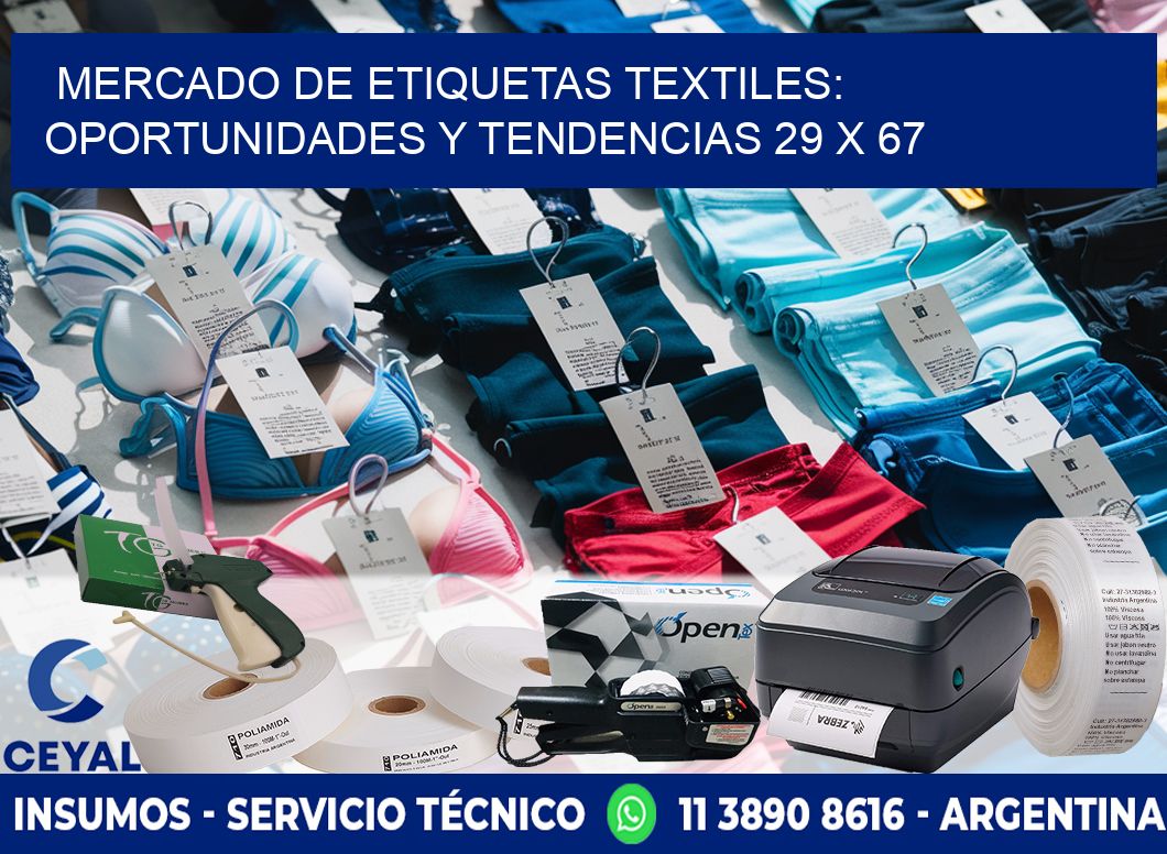 Mercado de Etiquetas Textiles: Oportunidades y Tendencias 29 x 67