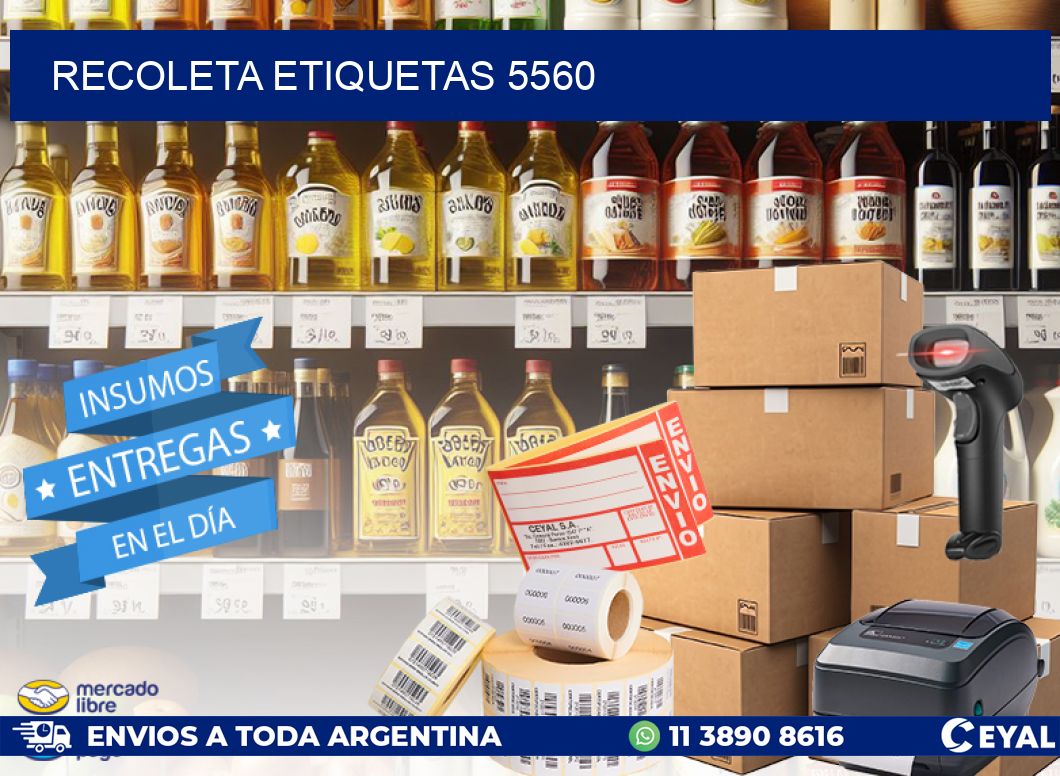 Recoleta etiquetas 5560