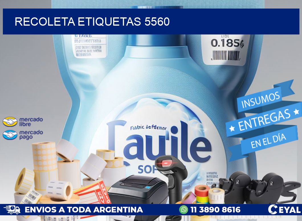 Recoleta etiquetas 5560