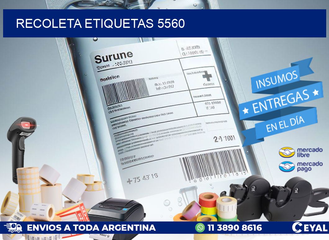 Recoleta etiquetas 5560