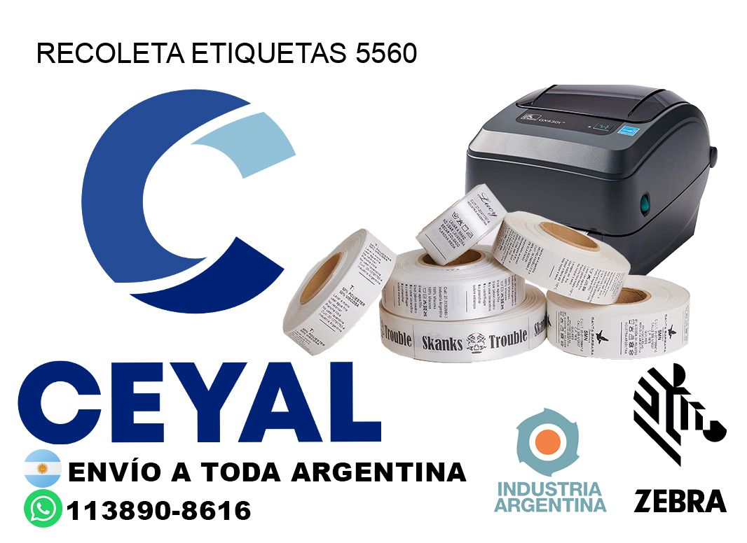 Recoleta etiquetas 5560