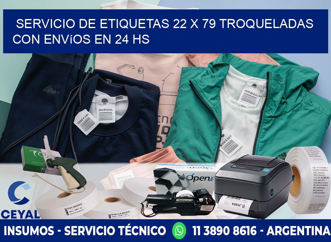 Servicio de etiquetas 22 x 79 troqueladas con envíos en 24 hs