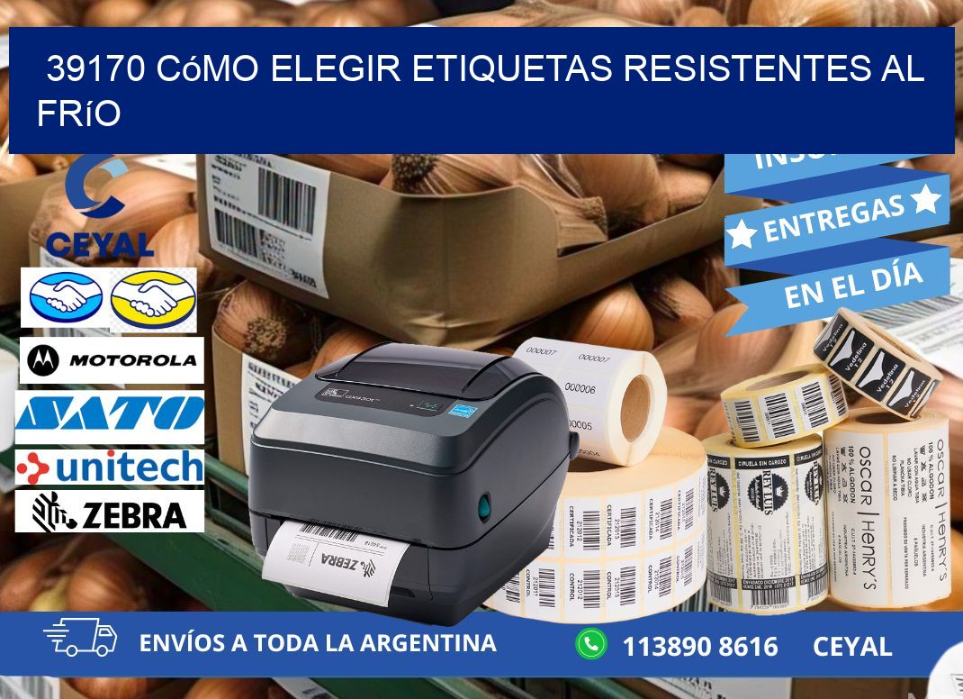 39170 cómo elegir etiquetas resistentes al frío