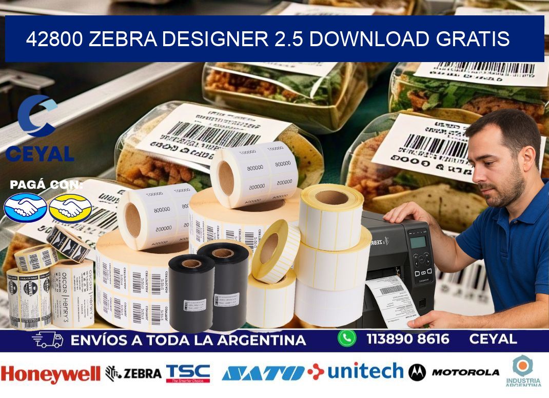42800 Zebra designer 2.5 download gratis