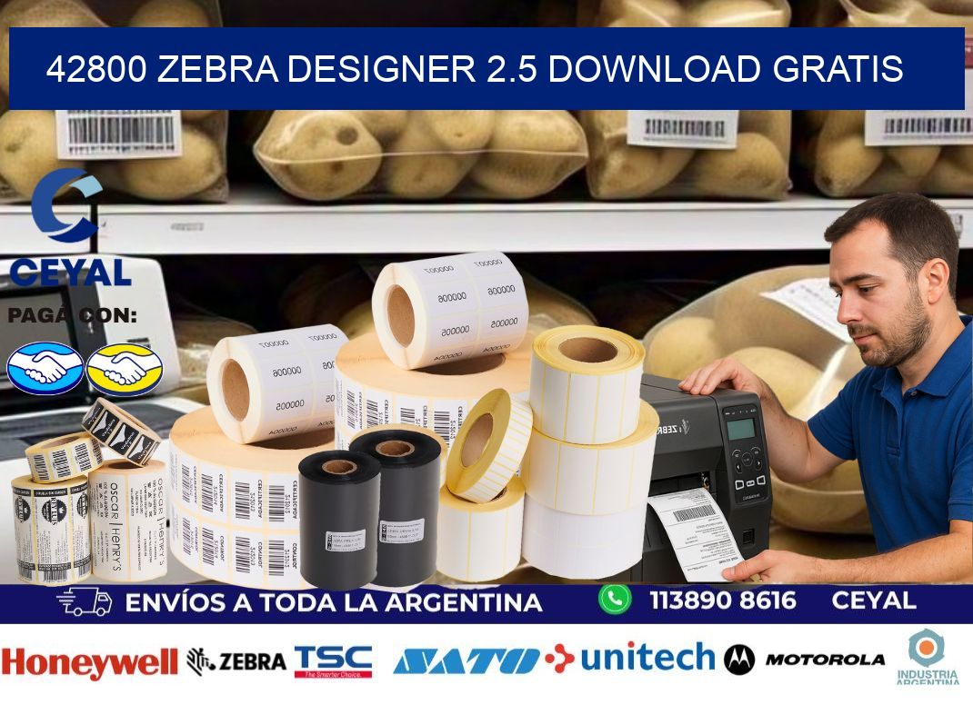 42800 Zebra designer 2.5 download gratis