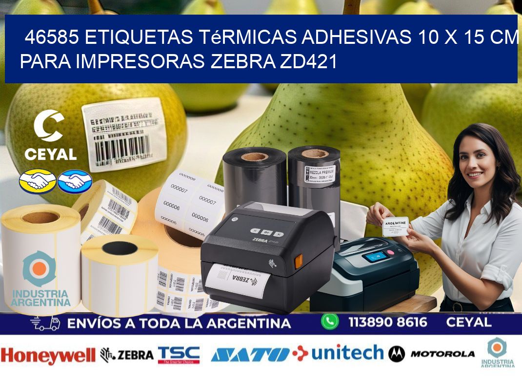 46585 Etiquetas Térmicas Adhesivas 10 x 15 cm para Impresoras Zebra ZD421