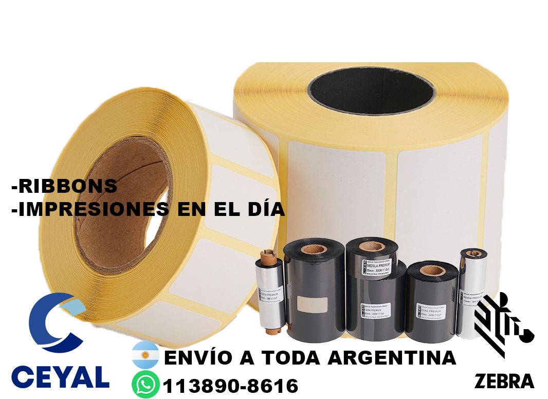 49230 Zebra ZD421 manual PDF