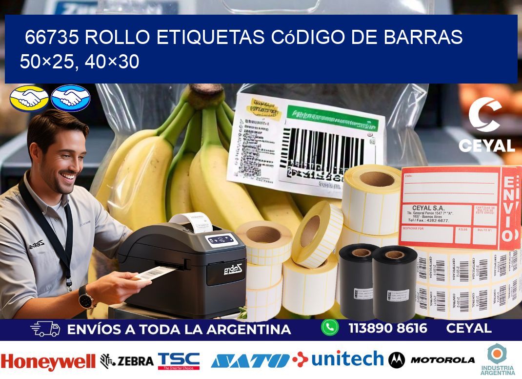 66735 rollo etiquetas código de barras 50×25, 40×30