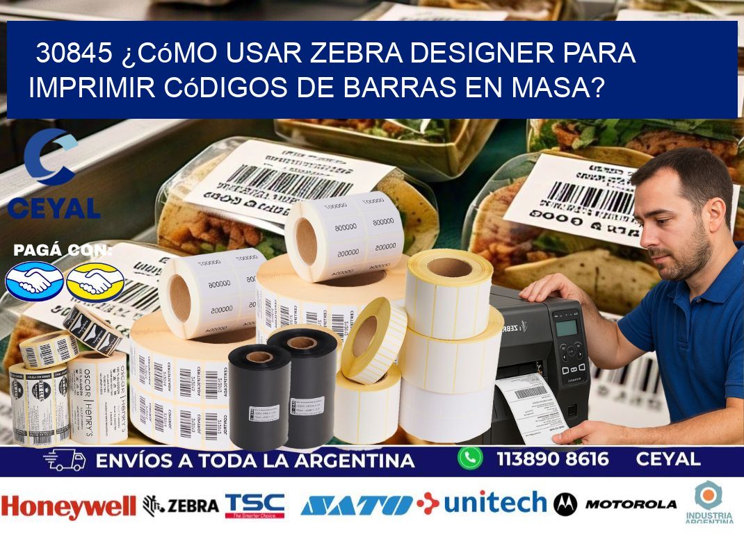 30845 ¿Cómo usar Zebra Designer para imprimir códigos de barras en masa?