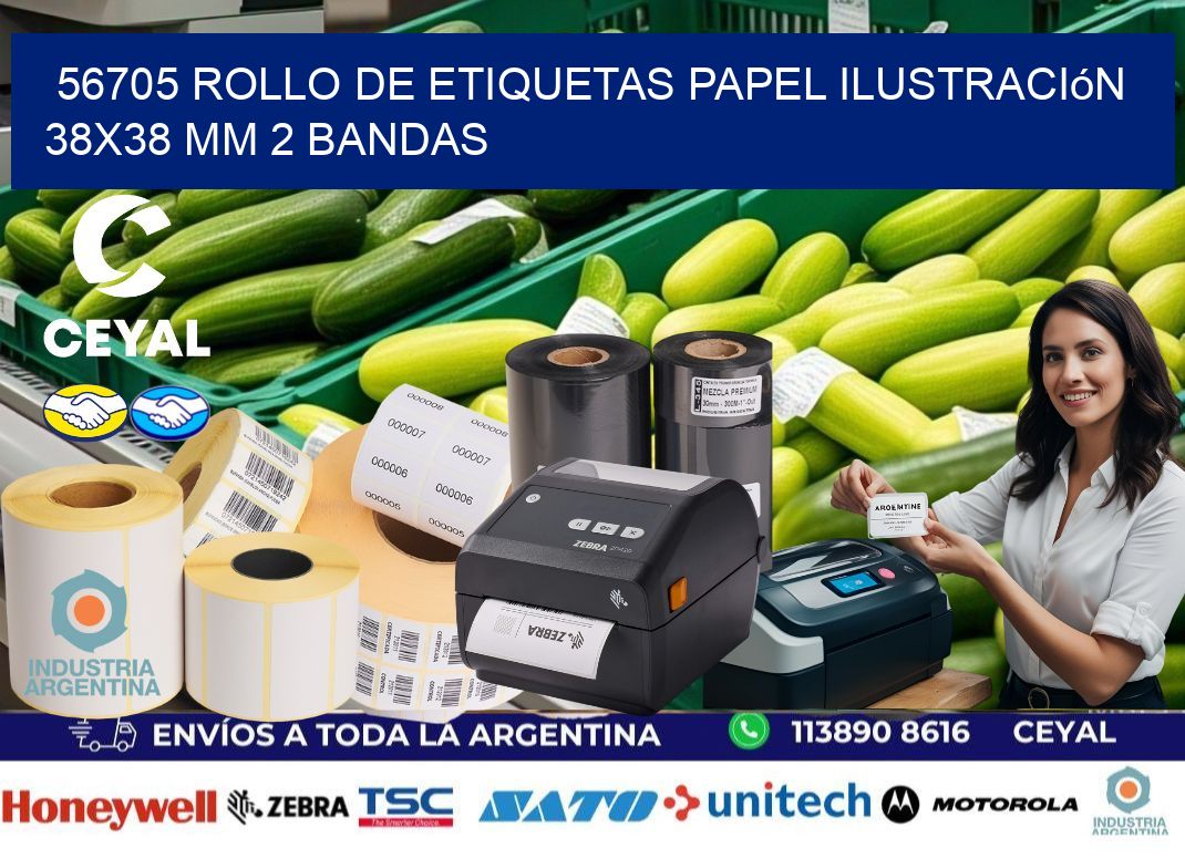 56705 Rollo de Etiquetas Papel Ilustración 38x38 Mm 2 Bandas