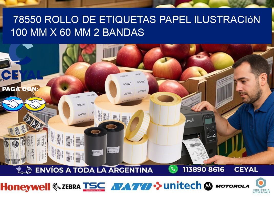 78550 Rollo de Etiquetas Papel Ilustración 100 mm x 60 mm 2 Bandas
