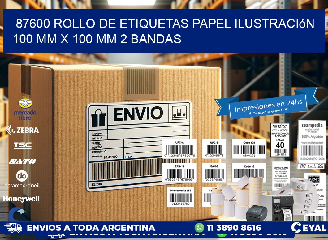 87600 Rollo de Etiquetas Papel Ilustración 100 mm x 100 mm 2 Bandas
