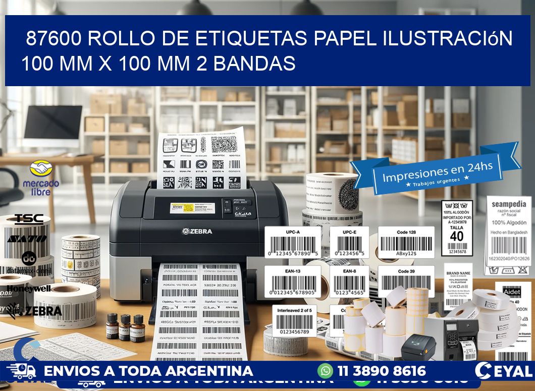 87600 Rollo de Etiquetas Papel Ilustración 100 mm x 100 mm 2 Bandas