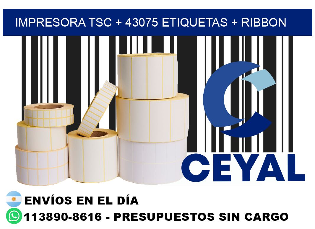 impresora TSC + 43075 etiquetas + ribbon