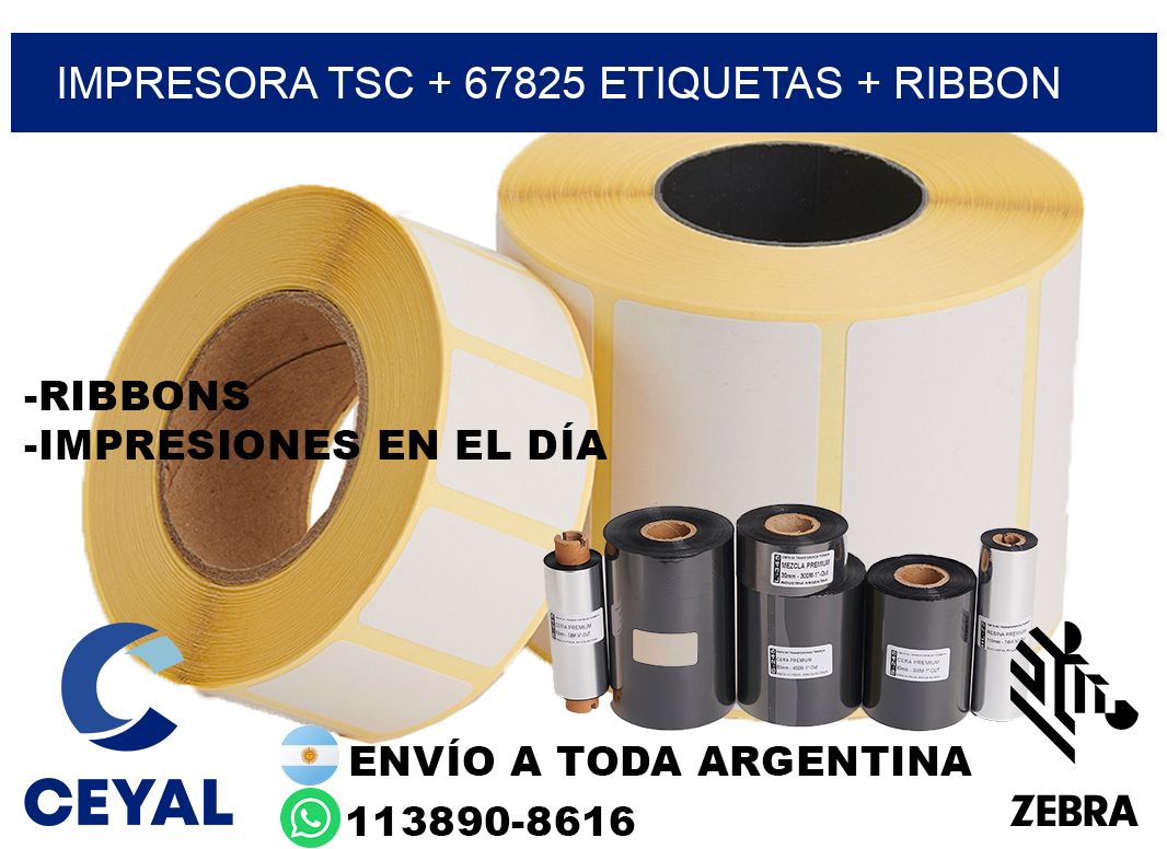 impresora TSC + 67825 etiquetas + ribbon