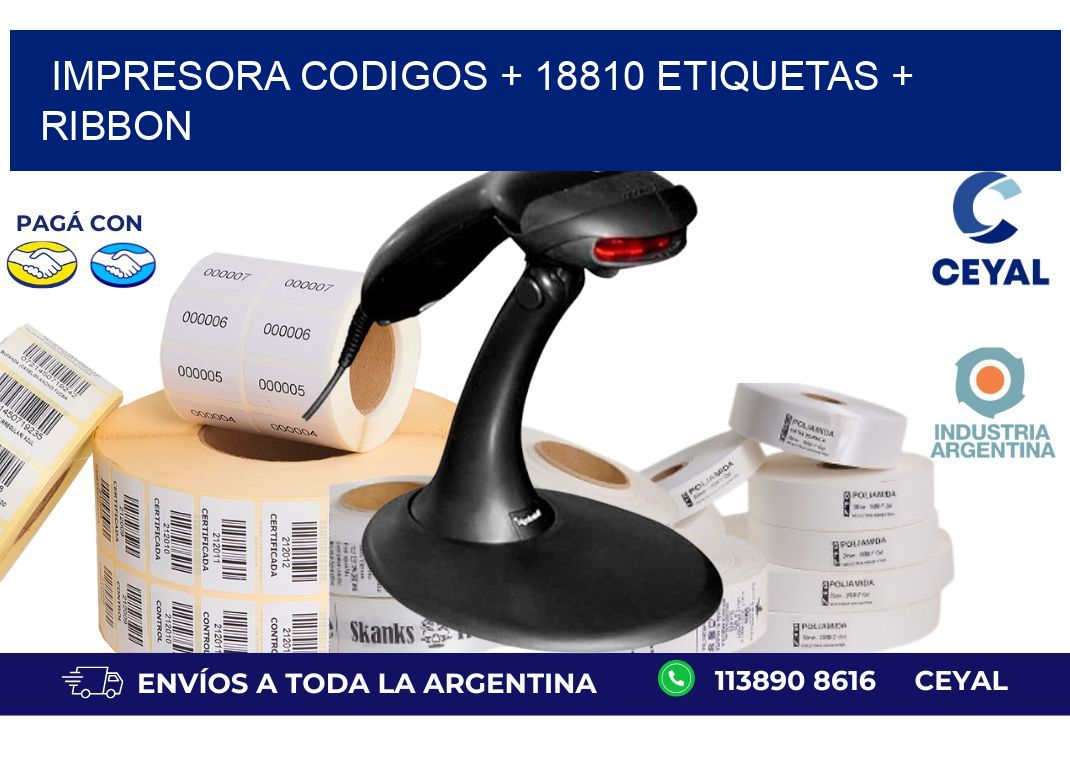 impresora codigos + 18810 etiquetas + ribbon