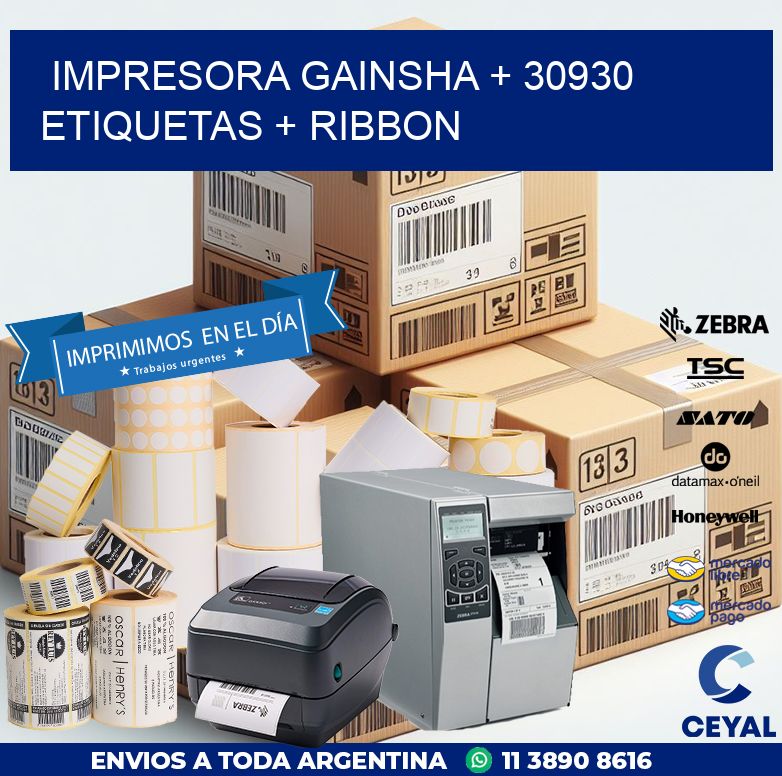 impresora gainsha + 30930 etiquetas + ribbon
