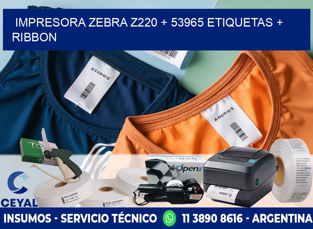 impresora zebra z220 + 53965 etiquetas + ribbon