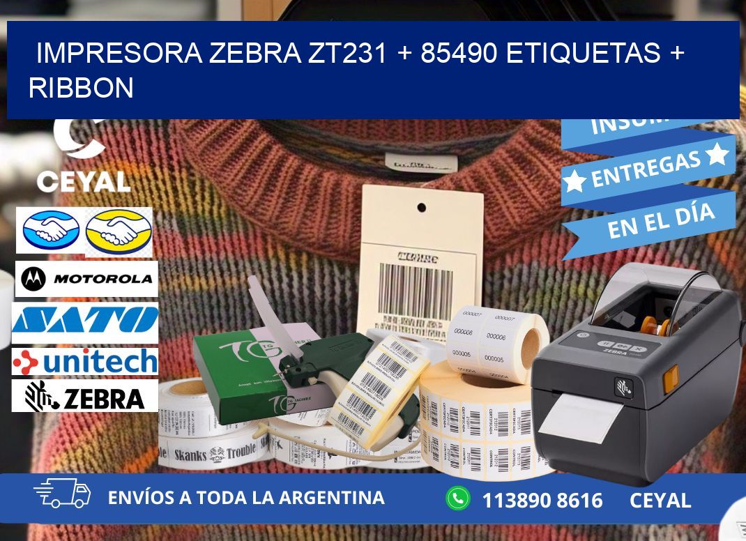 impresora zebra zt231 + 85490 etiquetas + ribbon